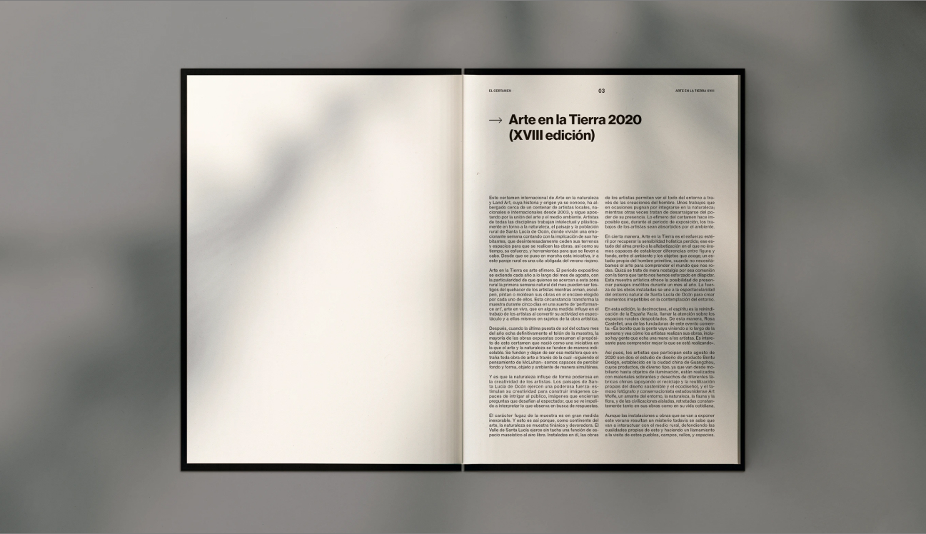 Arte-en-la-Tierra-2020 image 3