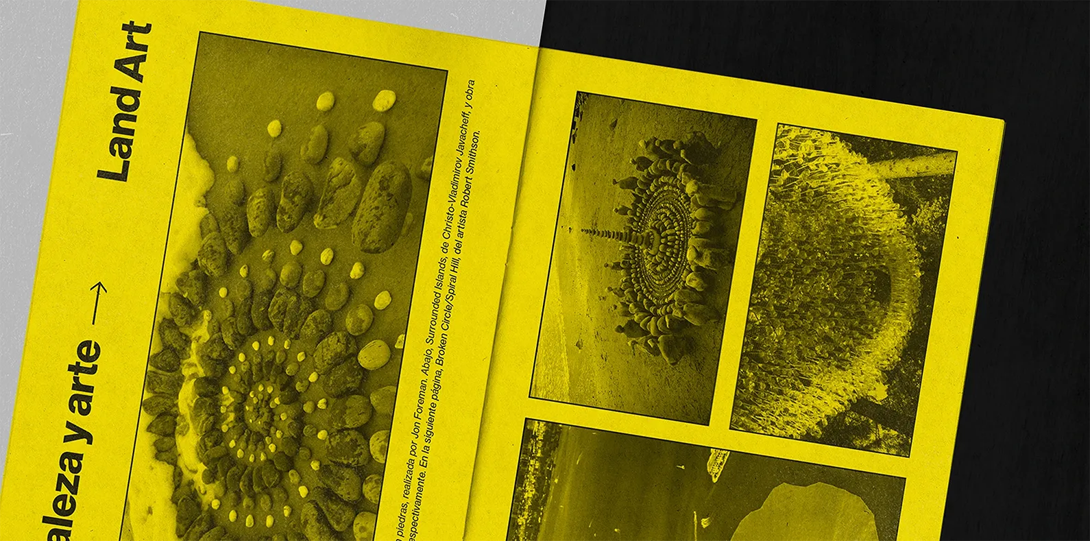 Arte en la Tierra 2020